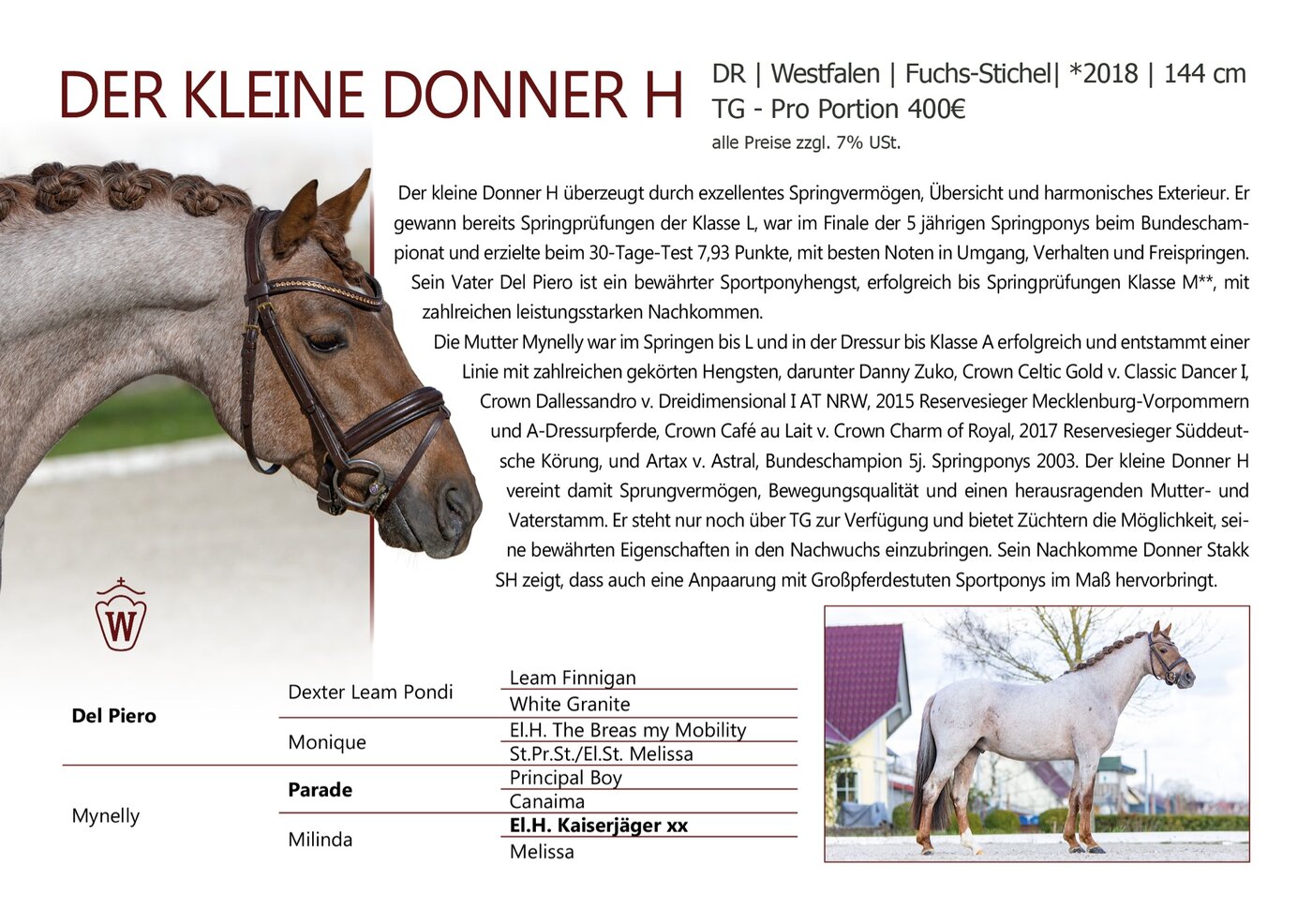 DER KLEINE DONNER H - Datenblatt