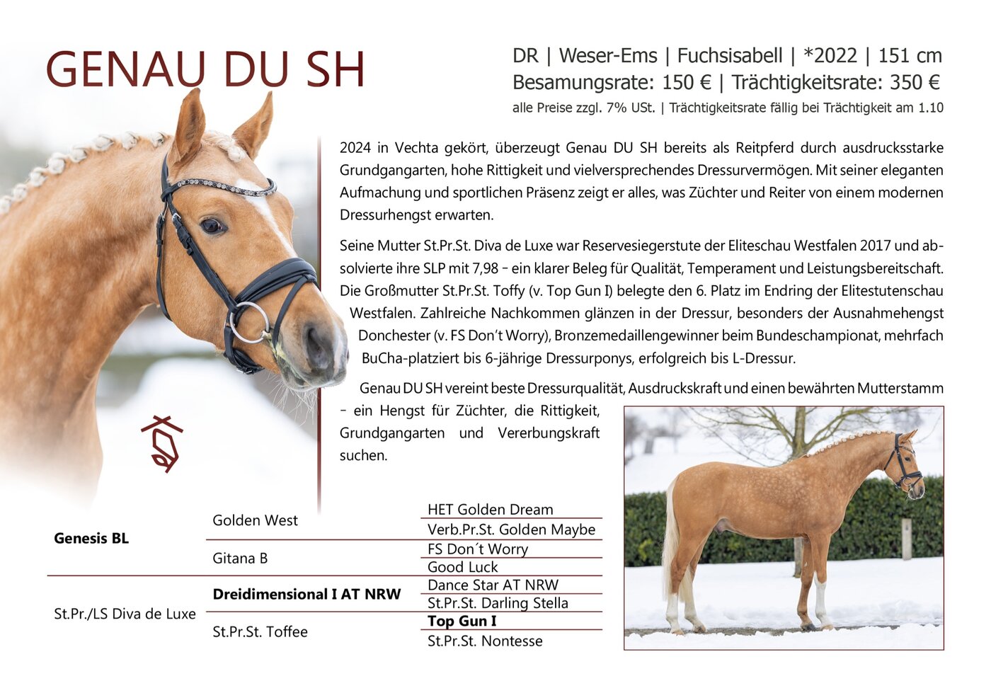 GENAU DU SH - Datenblatt